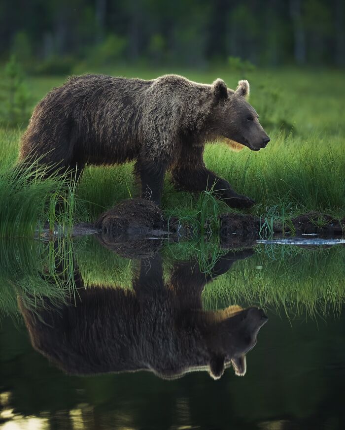 Stunning Wildlife Photography By Alexandra That Brings Us Closer To Nature (40 Pics)-Interview