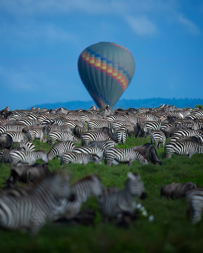 Stunning Wildlife Photography By Alexandra That Brings Us Closer To Nature (40 Pics)-Interview