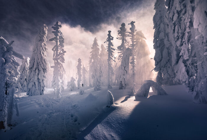 43 Photos By Karol Nienartowicz That Capture The Wild Beauty Of Poland’s Mountains