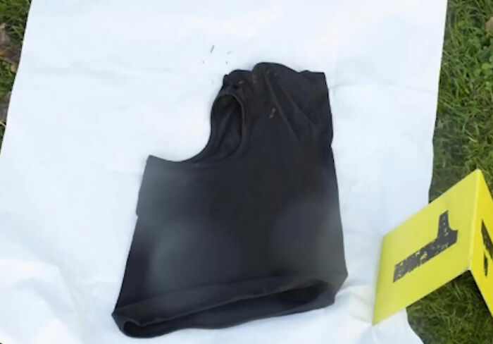 Conversa de adolescente com AI Bot antes da revelação do ataque horrível à mãe