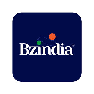 BZindia.com