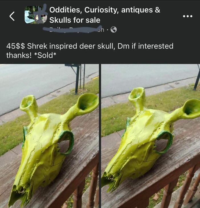 Shrek inspired deer skull painted bright green listed on Facebook Marketplace in a quirky oddities and antiques group.