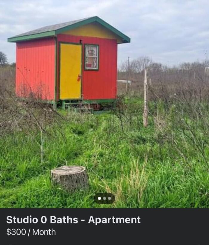 Small colorful tiny house in a grassy field for rent, one of the unhinged Facebook Marketplace pics that cause double takes.