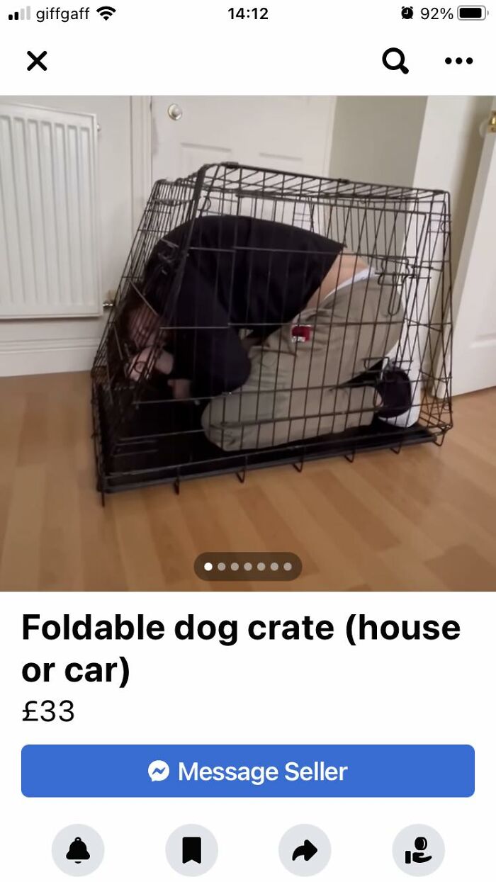Person curled inside a foldable dog crate in a room, an unhinged Facebook Marketplace listing with a surprising twist