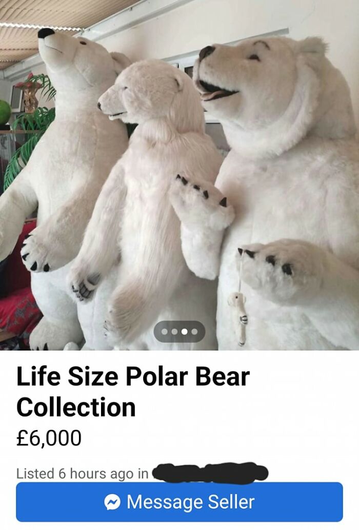 Life size polar bear collection for sale on Facebook Marketplace with an unusual and unhinged appearance.