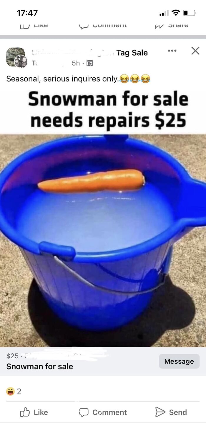 Blue bucket filled with ice water and a carrot, humorously listed in unhinged Facebook Marketplace pics needing double takes.