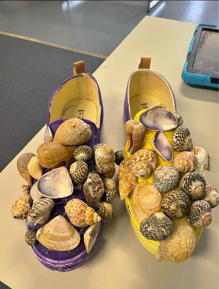 Pair of purple and yellow shoes covered in various large sea shells, illustrating unhinged pics from Facebook Marketplace.