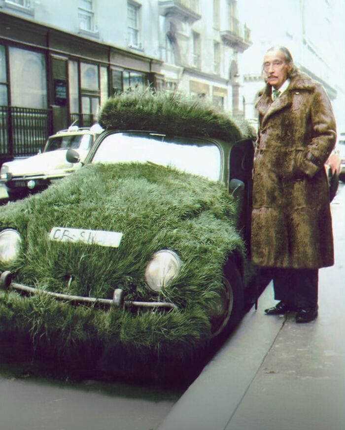 Salvador Dalí‘S Grassy Vw Beetle In The 1970s