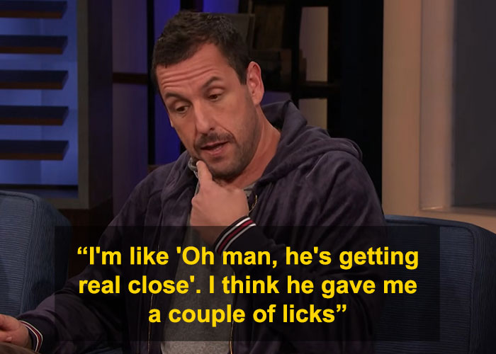 Adam Sandler speaking in an interview, describing a close encounter with Gene Simmons and mentioning a couple of licks.