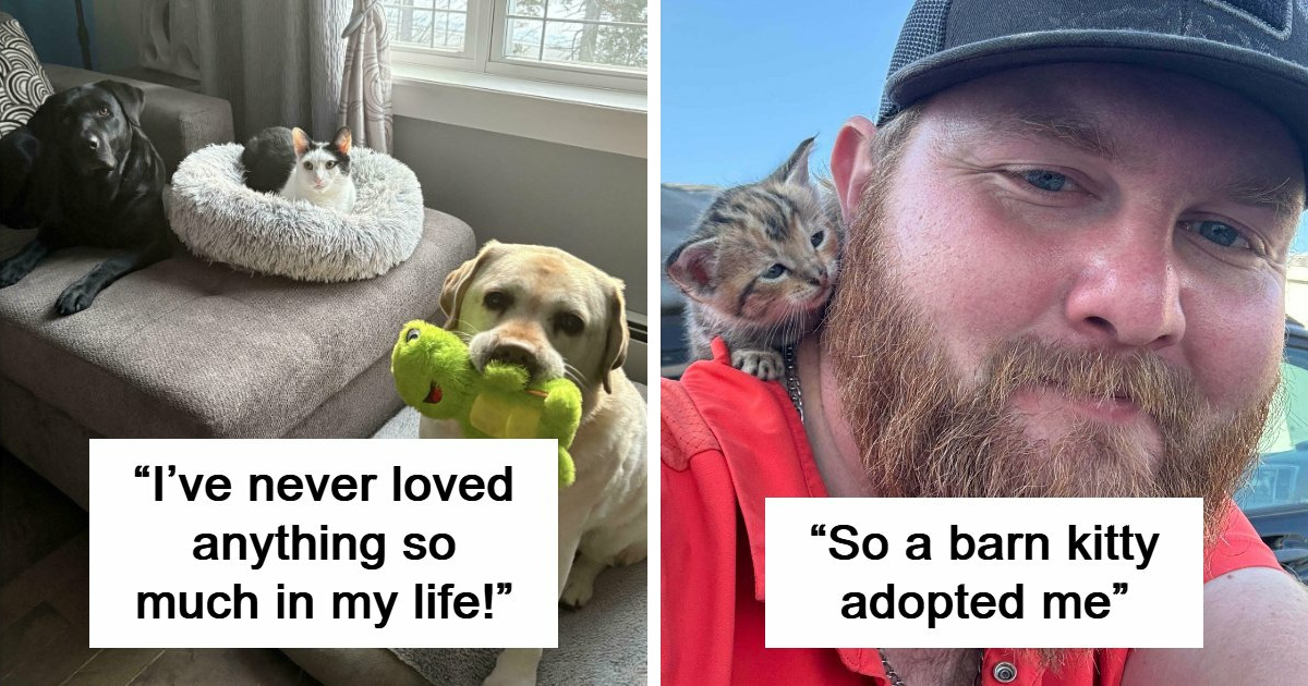 59 Adopted Animals Whose First Month In Their Forever Homes Is Pure ...