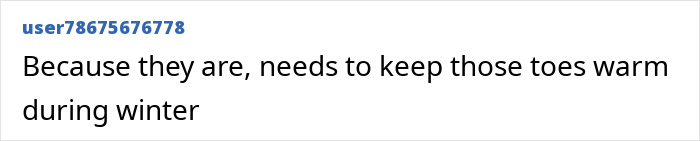 Screenshot of a social media comment discussing keeping toes warm during winter related to King Henry VIII portrait time travel claim.