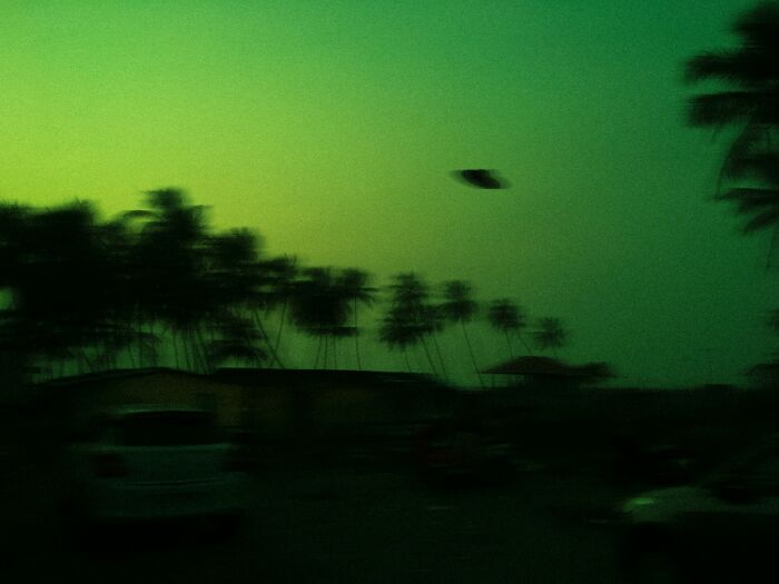 Blurry green twilight with palm trees and parked cars, evoking mysterious things people said that sounded like a complete joke.