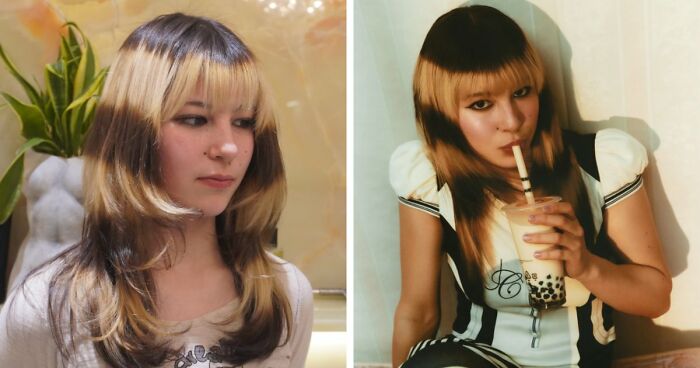 81 Times Cats Were So Ridiculous, Silly, Or Dramatic That They Had To Become Memes