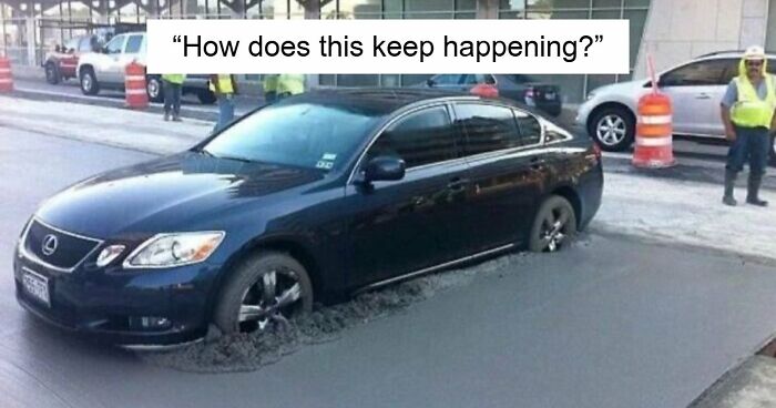 “A Nation Of Idiots!”: 65 Funny Posts Exposing How Uncultured And Ignorant Americans Can Be