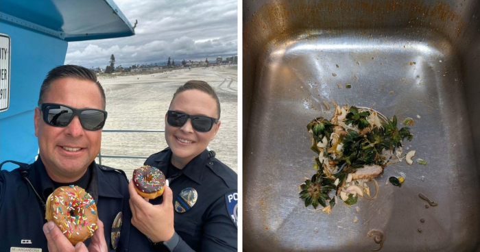 45 American Things People Believe Only Exist In Movies But They Are Very Real