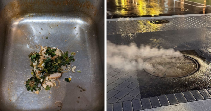 “Southern Hospitality”: 45 Things People Couldn’t Believe Were Real When They Visited The US