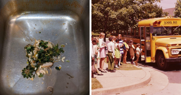 “Southern Hospitality”: 45 Things People Couldn’t Believe Were Real When They Visited The US