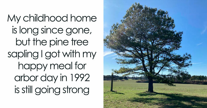 “Kids Today Will Never Know”: 91 Nostalgic Posts About The ’90s To Unlock Memories You Forgot You Had (New Pics)