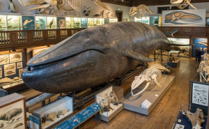 35 Unique Historical Treasures That Have Survived Through Time To Amaze Us Today