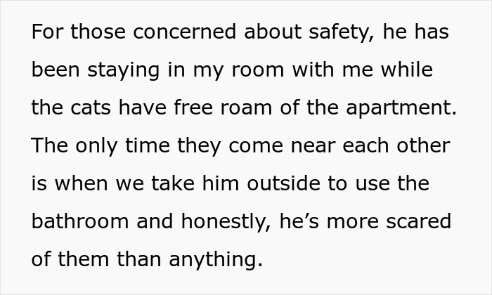 Text on a white background describing a dog staying in a room for safety while cats roam freely, highlighting neglectful owner dog health problems.