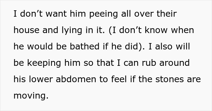 Text about dog health problems caused by a neglectful owner, discussing care and monitoring of the pet&rsquo;s condition.
