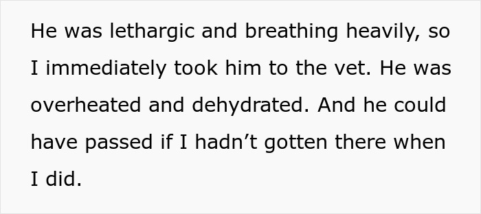 Woman Kicks Sister And Her “Monster” Kids Out In The Middle Of The Night, Bans Them From Visiting Woman Kicks Sister And Her “Monster” Kids Out In The Middle Of The Night, Bans Them From Visiting