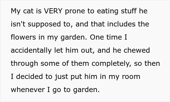 Lady Ends Up Homeless When Sis Kicks Her Fam Out After They Endanger Her Feline Friend