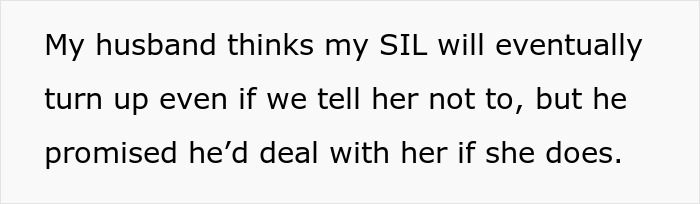 Text from a message discussing concerns about a sister-in-law's behavior and a husband's promise to intervene if needed.