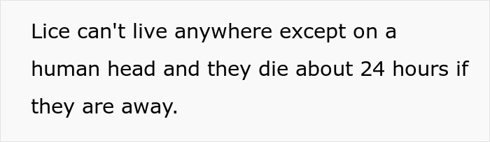 Text image explaining that lice can only live on a human head and die within 24 hours when away from it.