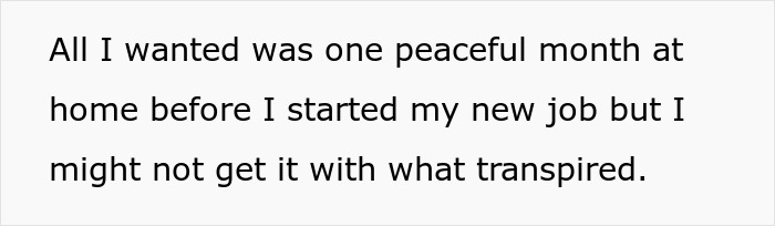 Text on white background reading all I wanted was one peaceful month at home before I started my new job but I might not get it with what transpired.