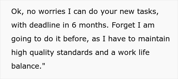 Text message showing employee mentioning work life balance while agreeing to new tasks with a six-month deadline.