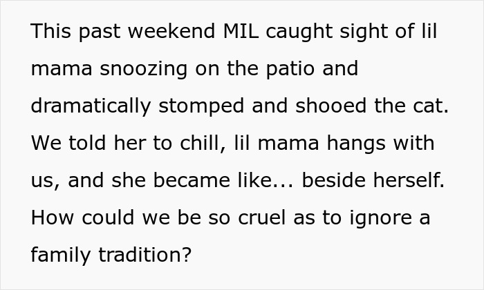 Text describing a family conflict breaking family tradition by getting a dog and disturbing the cat on the patio.