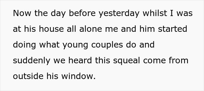 Text excerpt showing a secret boyfriend scene interrupted by a sudden noise from outside the window.