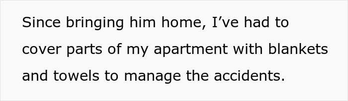 Text on a white background reading since bringing him home, I've had to cover parts of my apartment with blankets and towels to manage the accidents.