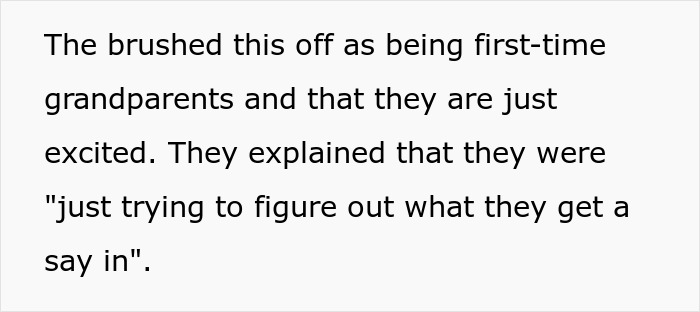 Text excerpt discussing first-time grandparents excusing their behavior amid new mom anxiety and family visits.
