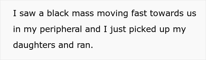 Wife and twin girls running near a fence being chased by a fast-moving dog in a safety moment.