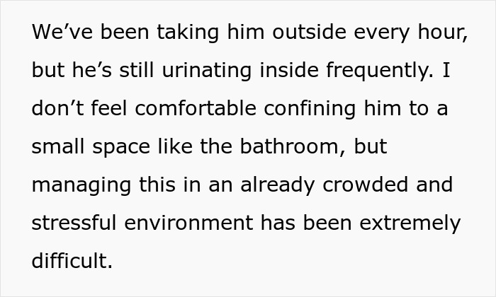 Text describing challenges faced by a neglectful owner managing dog health problems in a stressful environment.