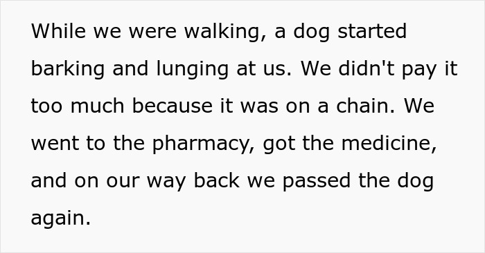 Wife and twin girls running along a fence being chased by an aggressive dog during a neighborhood walk.