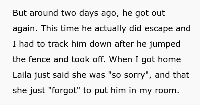 Lady Ends Up Homeless When Sis Kicks Her Fam Out After They Endanger Her Feline Friend