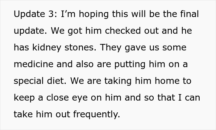Update about dog&rsquo;s kidney stones and care plan highlighting neglectful owner dog health problems concerns.