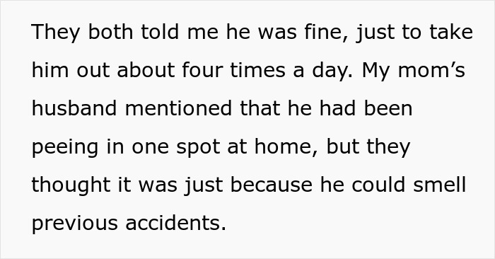 Text describing neglectful owner dog health problems, mentioning frequent outdoor trips and urination issues at home.