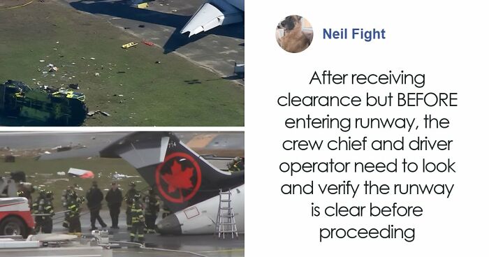 How Rare Are Green Eyes, And What Genetics Says About Their Origins