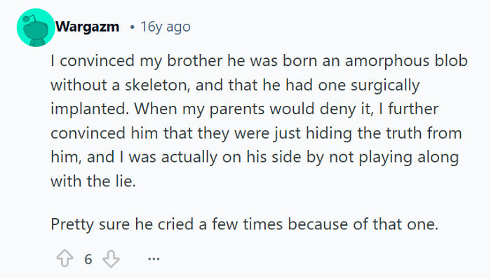 Screenshot of a funny sibling rivalry story where one convinces the other of a bizarre childhood lie online.