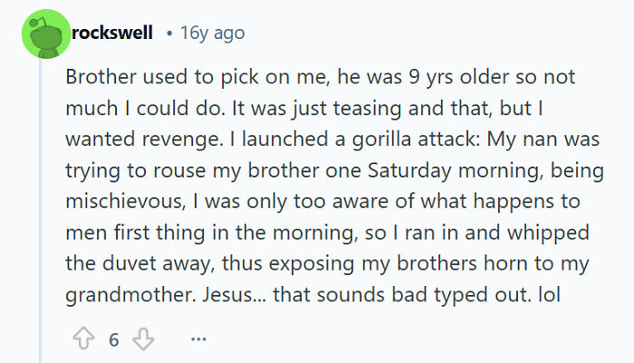 Comment sharing a funny example of sibling rivalry involving teasing and playful revenge between brothers.