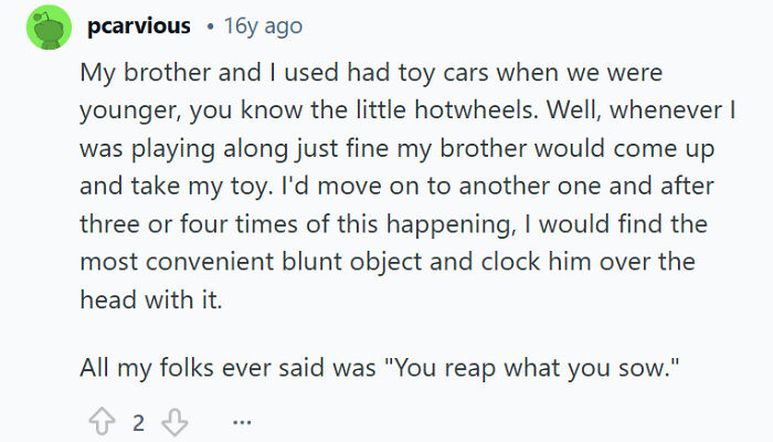 Comment describing a childhood memory of sibling rivalry involving toy cars and playful retaliation between brothers.