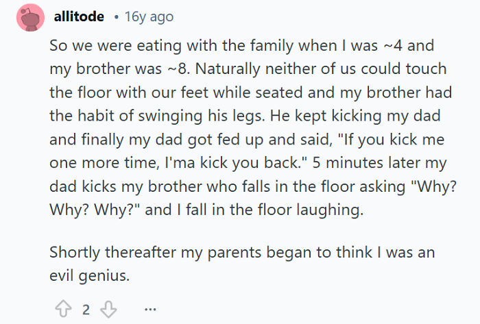 Comment about a funny sibling rivalry moment with brothers wrestling for attention and causing family laughter.