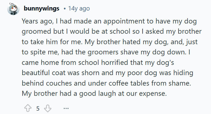 Comment about brother’s funny sibling rivalry prank shaving dog’s coat while owner was at school.