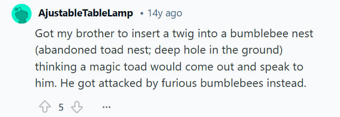Comment about sibling rivalry involving a brother inserting a twig into a bumblebee nest and facing consequences.