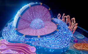 “Are You Smarter Than A Highschooler?”: Try To Score 25/29 On This Biology Vocabulary Quiz