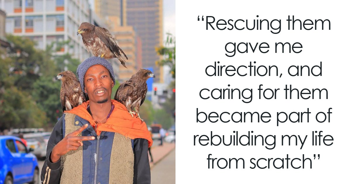 The ‘Nairobi Birdman’ Is Rescuing Injured Birds While Rebuilding His ...